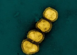 Alerta: Nova Onda de Gripe H1N1 Avança – O Que Você Precisa Saber para se Proteger