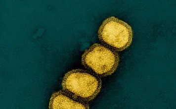 Alerta: Nova Onda de Gripe H1N1 Avança – O Que Você Precisa Saber para se Proteger