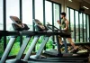 Treino de força em casa: plano prático treino de força em casa
