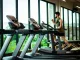 Treino de força em casa: plano prático treino de força em casa