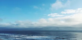 Hidratação no inverno: guia prático completo para manter energia e saúde hidratação no inverno copo com água