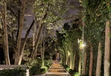 Caminhada após o jantar: como transformar 15 minutos em um hábito leve caminhada após o jantar em um caminho arborizado ao entardecer