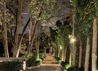 Caminhada após o jantar: como transformar 15 minutos em um hábito leve caminhada após o jantar em um caminho arborizado ao entardecer