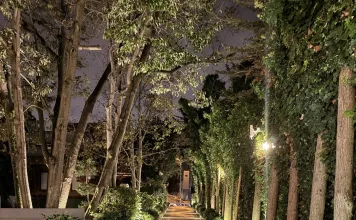 Caminhada após o jantar: como transformar 15 minutos em um hábito leve caminhada após o jantar em um caminho arborizado ao entardecer