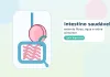 Intestino saudável: fibras, água e rotina alimentar intestino saudável - sistema digestivo com estômago e intestino