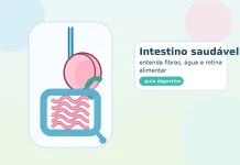 Intestino saudável: fibras, água e rotina alimentar intestino saudável - sistema digestivo com estômago e intestino