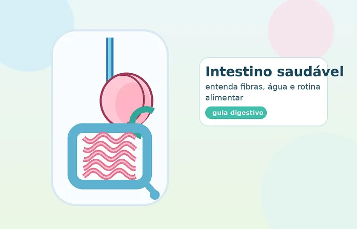 intestino saudável - sistema digestivo com estômago e intestino