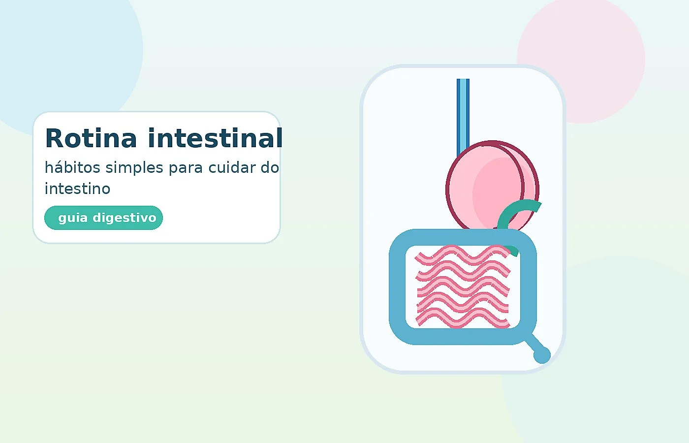 intestino saudável e rotina digestiva ilustrada claramente